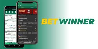 Everything You Need to Know About BetWinner AR