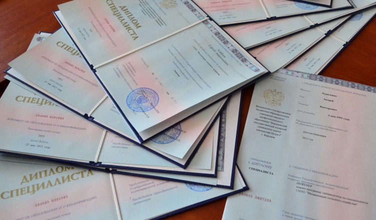 Купить диплом маркетолога как сделать правильный выбор